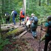 08 a vom Felsentor zur Schättere